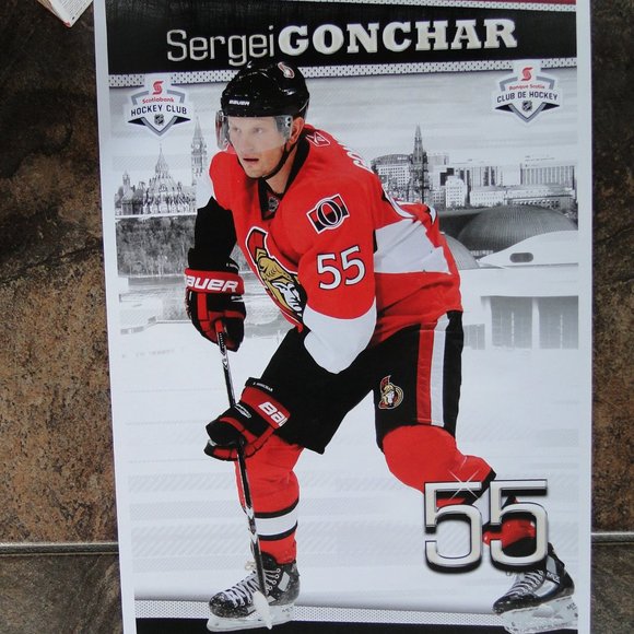 3 MINI POSTER OTTAWA SENS 20X10 INCH - Picture 3 of 6